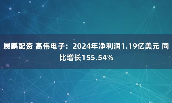 展鹏配资 高伟电子：2024年净利润1.19亿美元 同比增长155.54%
