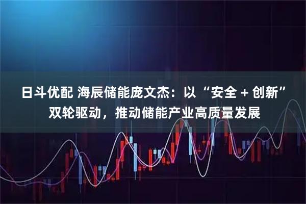 日斗优配 海辰储能庞文杰：以 “安全 + 创新” 双轮驱动，推动储能产业高质量发展