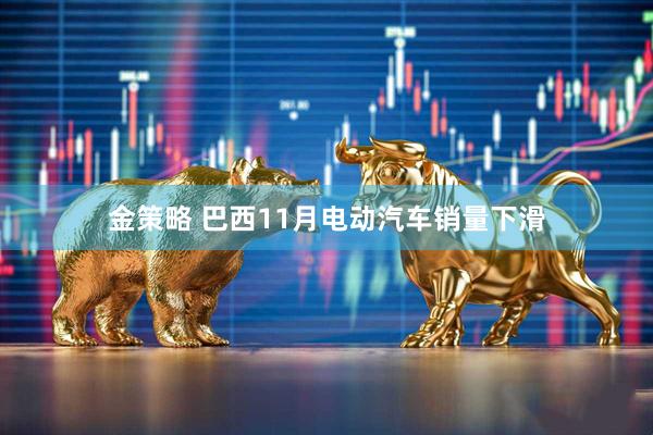 金策略 巴西11月电动汽车销量下滑
