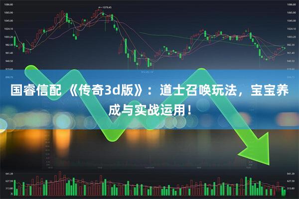 国睿信配 《传奇3d版》：道士召唤玩法，宝宝养成与实战运用！