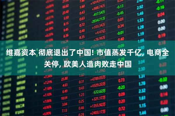 维嘉资本 彻底退出了中国! 市值蒸发千亿, 电商全关停, 欧美人造肉败走中国