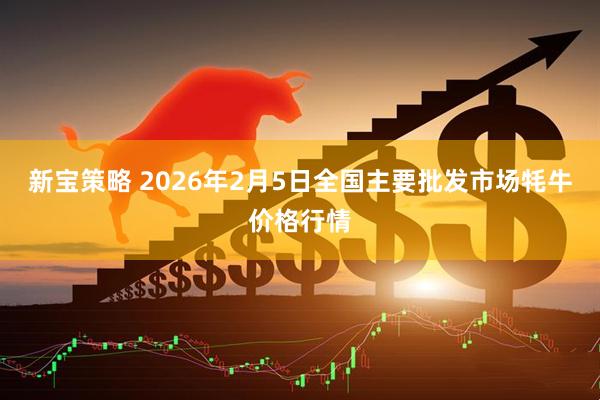 新宝策略 2026年2月5日全国主要批发市场牦牛价格行情