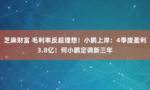 芝麻财富 毛利率反超理想！小鹏上岸：4季度盈利3.8亿！何小鹏定调新三年